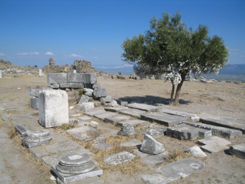 Святилище Афины в Пергаме. Олива Афины жива и почитаема. Алтарь живой.