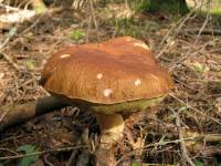 Фото 2 Фото 2