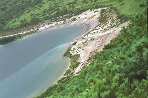 вид на ручей впадающий в озеро Горячее и соединяющий его с Кипящим