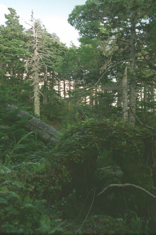     ... ...     ...    :)