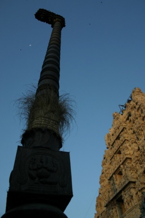 ...  ,   ,       -  ...  