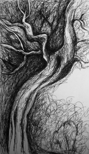 выразительный рисунок дерева
