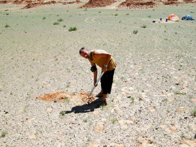 Муни закапывает арбузные корки в пустыне Гоби. Баянзаг, Монголия