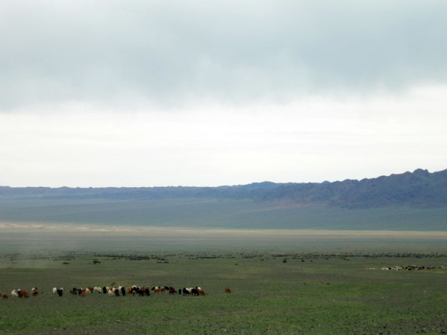 Монгольский пейзаж. Гоби