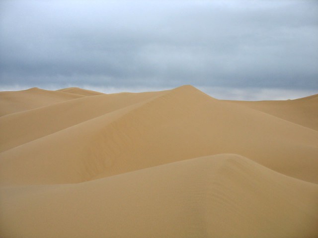 Мир песчаных дюн