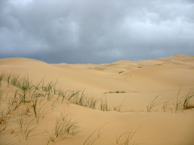 Мир дюн. Пустыня Гоби, Монголия