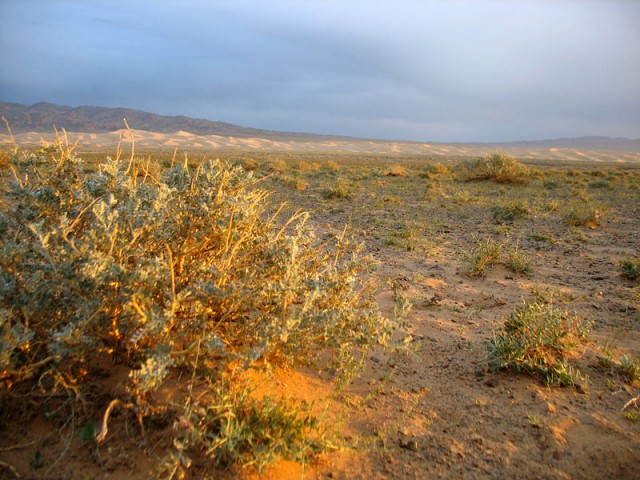 Пустыня Гоби на закате. Монголия