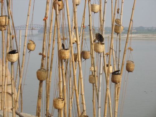 Светильники Светильники