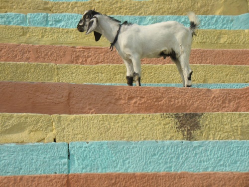 Гхаты Варанаси Гхаты Варанаси