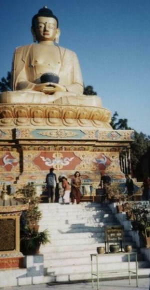 Большая статуя Будды в Катманду.