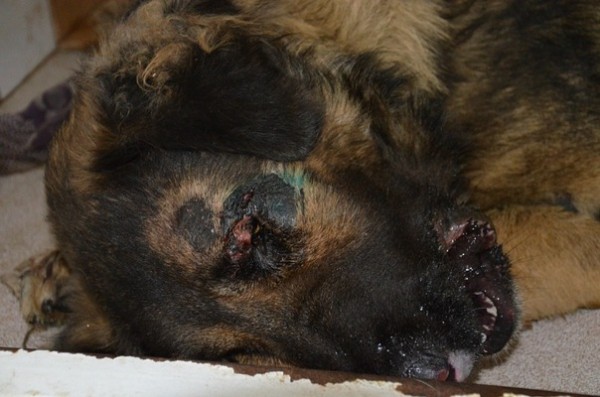 ,   ,   !     ,       !