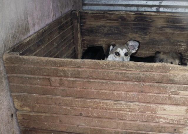      ,  , .         " "...