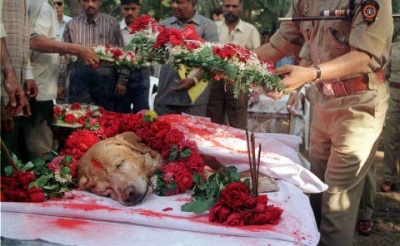 Rest in Peace Zanjeer