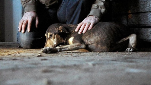  fvn.no/Kristin Ellefsen