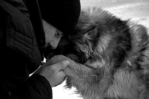  shafali2883.livejournal.c om 