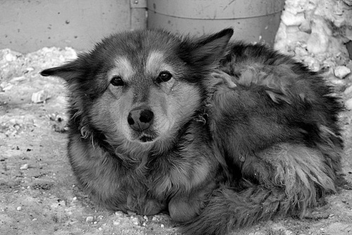  shafali2883.livejournal.c om 