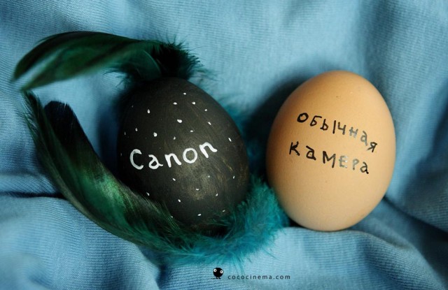 All Photo Cameras: Comparisons Review by cococinema