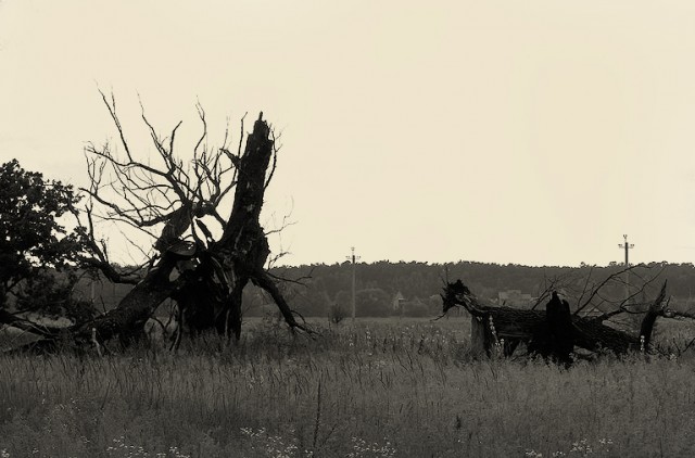 . ( arhon70.livejournal.com )