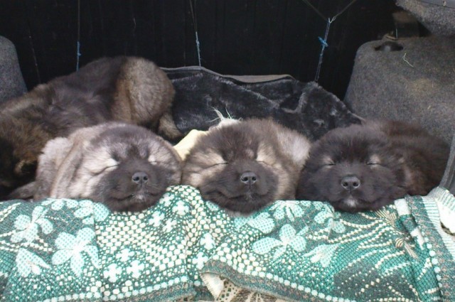    :  "",  , ,   -    !