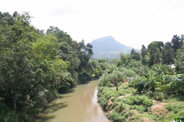 Bandulla.Vid s mosta.