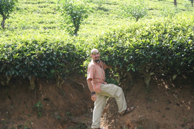 Plantator na plantacii)))