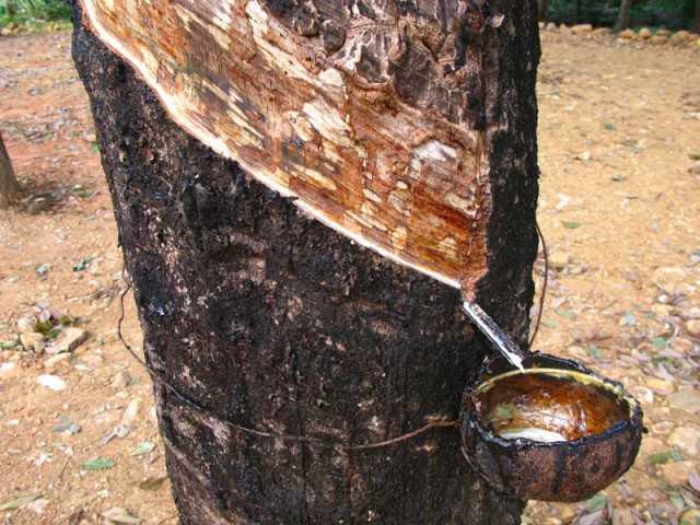 Говорит и показывает ТВ "Чунга-чанга" Говорит и показывает ТВ "Чунга-чанга"