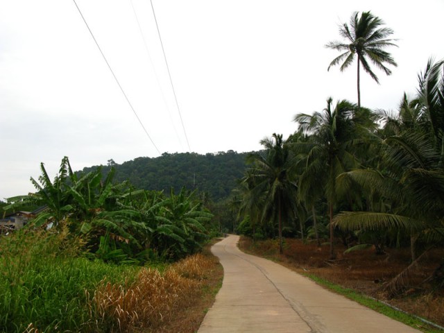 Говорит и показывает ТВ "Чунга-чанга" Говорит и показывает ТВ "Чунга-чанга"