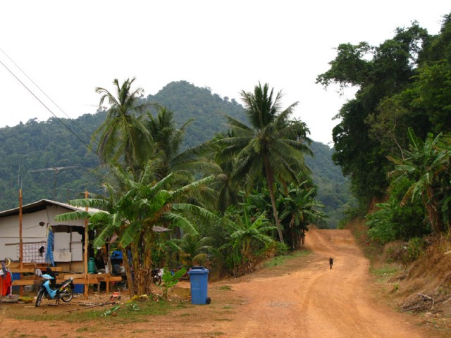 Говорит и показывает ТВ "Чунга-чанга" Говорит и показывает ТВ "Чунга-чанга"