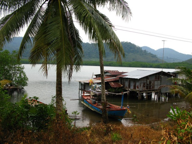 Говорит и показывает ТВ "Чунга-чанга" Говорит и показывает ТВ "Чунга-чанга"
