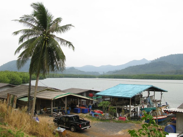 Говорит и показывает ТВ "Чунга-чанга" Говорит и показывает ТВ "Чунга-чанга"