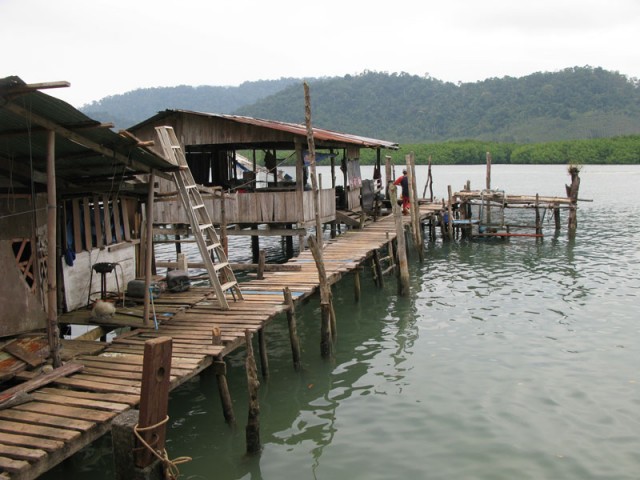Говорит и показывает ТВ "Чунга-чанга" Говорит и показывает ТВ "Чунга-чанга"