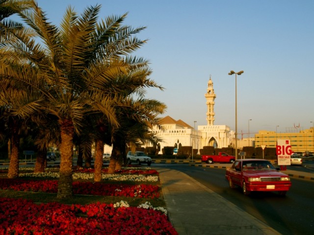 garden & mosque
