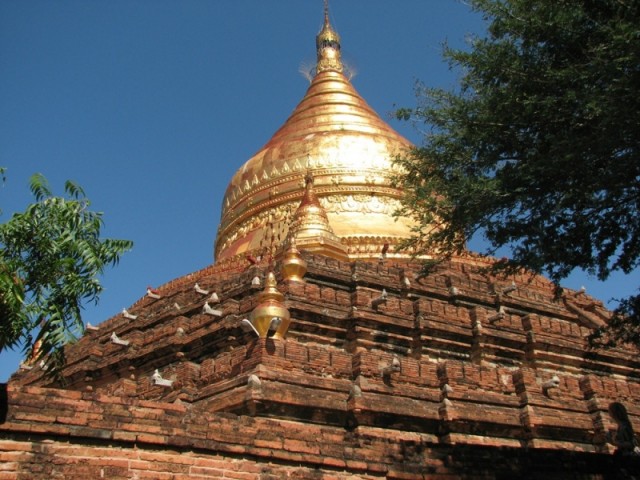 DHAMMA YAZAKA STUPA