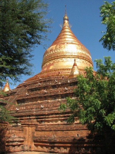 DHAMMA YAZAKA