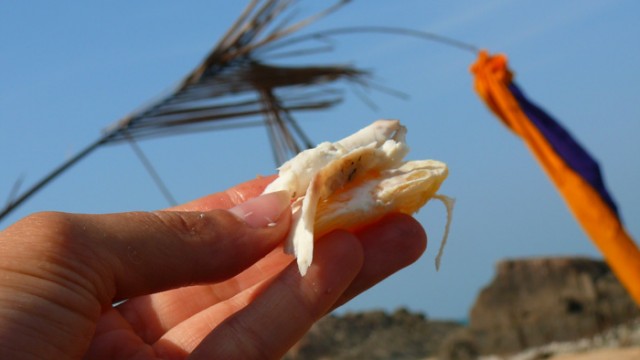 !   -    ,       :))