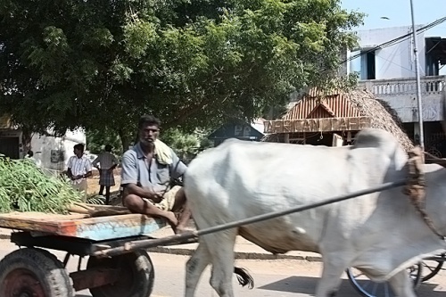   - African Cafe. , -,  