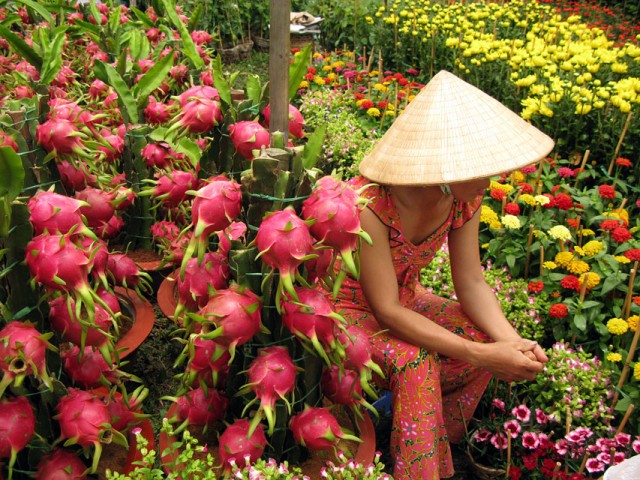 Новогодний цветочный рынок в Сайгоне