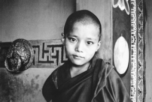 photo by Paulius Normantas