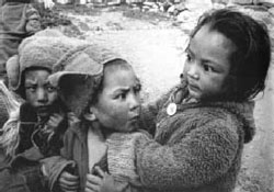 photo by Paulius Normantas