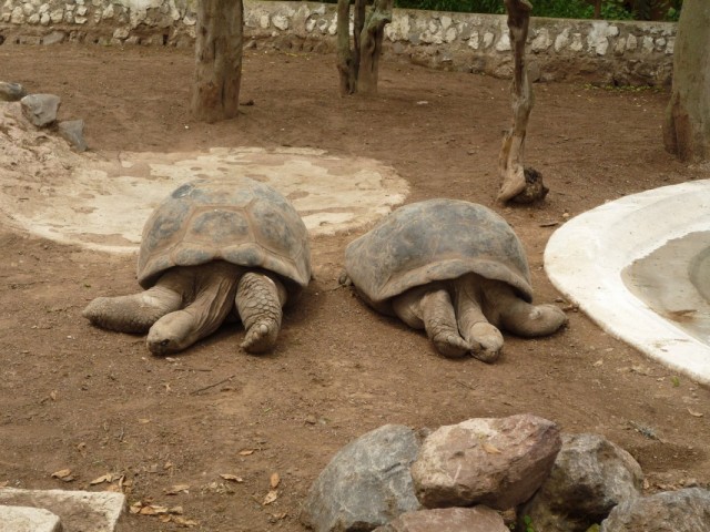 Ты испортила лучшие 300 лет моей жизни!!! Ты испортила лучшие 300 лет моей жизни!!!