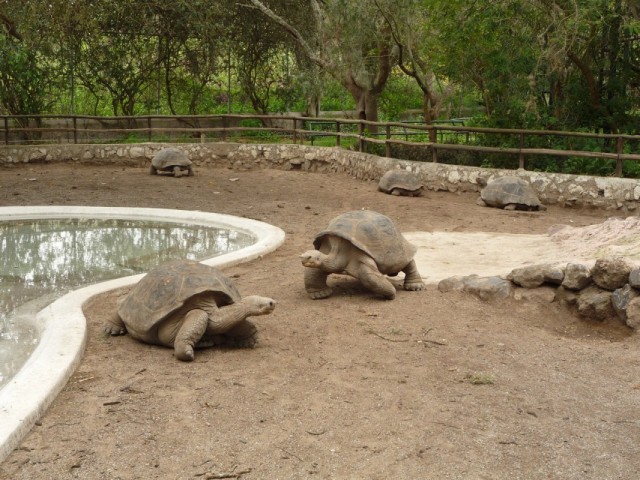 Ты че сказал?! Ты че сказал?!