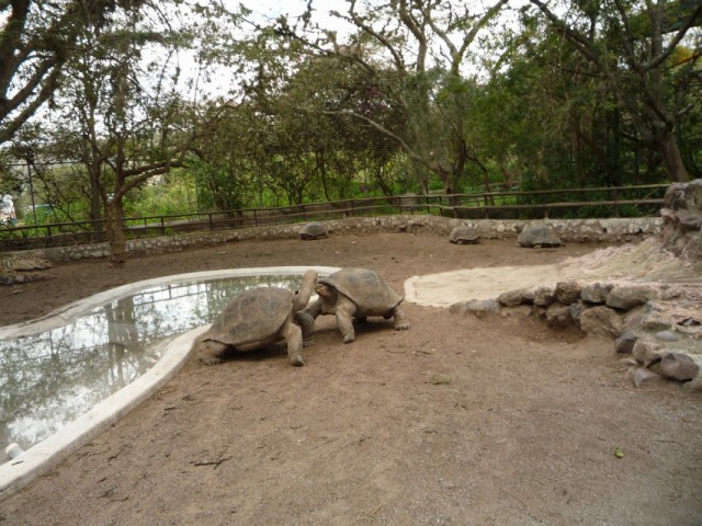 Иди сюда, поговорим! Иди сюда, поговорим!