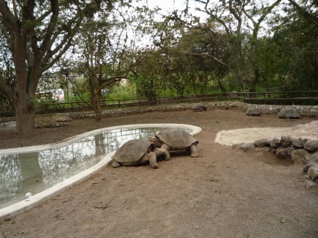 Ты меня уважаешь?! Ты меня уважаешь?!