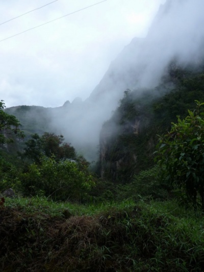 и туман и туман