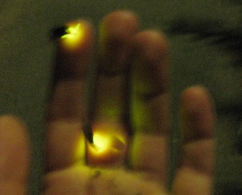       ,   ,      .    :)))