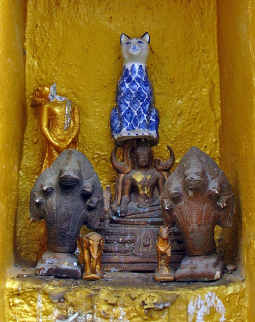В нише ступы обнаружился странный алтарчик - змеи, кошка и Будда без головы