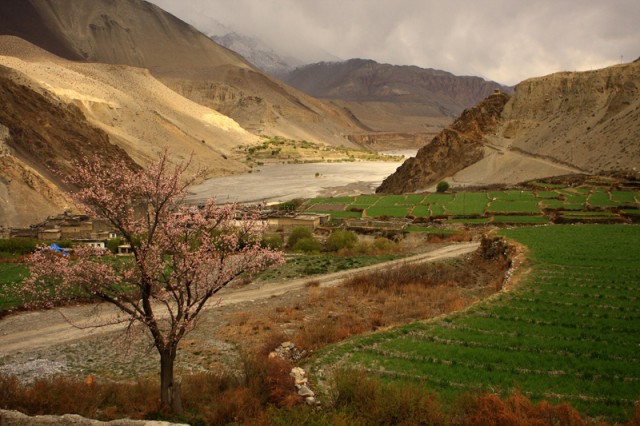 Фото 2 Фото 2