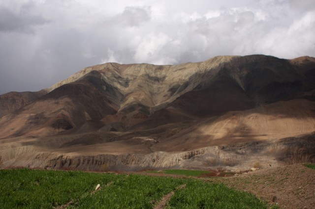 Фото 12 Фото 12