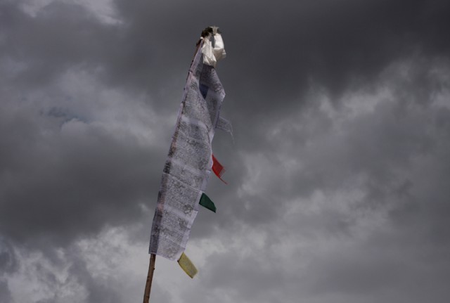 Фото 14 Фото 14