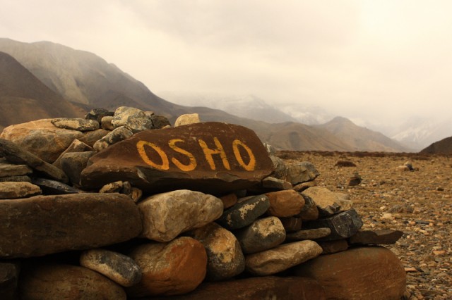 Фото 5 Фото 5